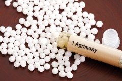 �������ư������������