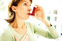  ���������Щ�����ص��أ�