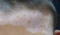 ���综�߶����ʺϳ�ʲô��